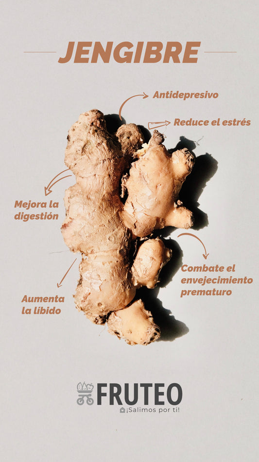 Beneficios del Jengibre🤎