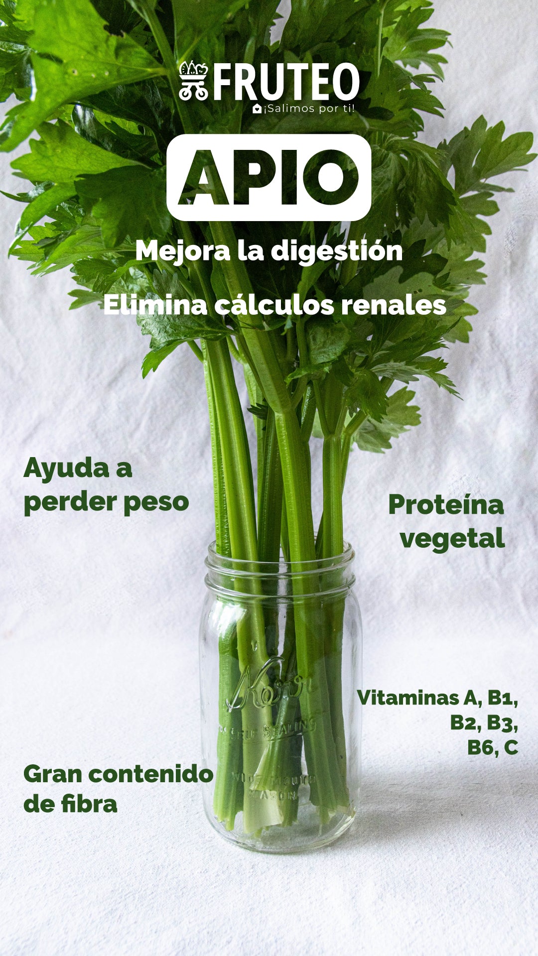 Beneficios del Apio 🥬