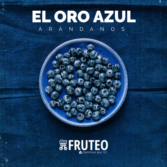 Beneficios de los Arándanos💙