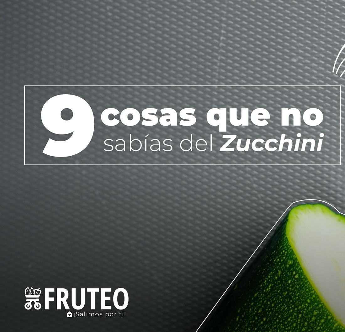 9 cosas que no sabías del Zucchini 🥒
