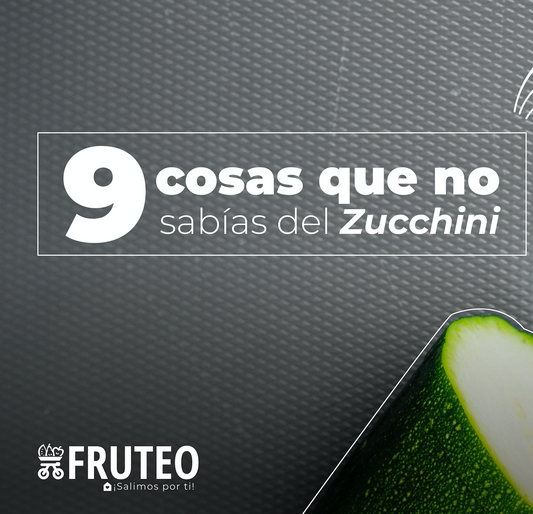 9 cosas que no sabías del Zucchini 🥒