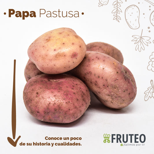 Beneficios de la Papa Pastusa🥔