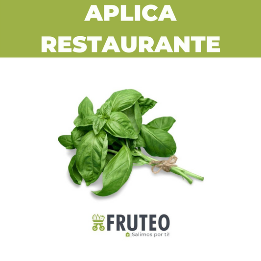 Albahacón fresco Fruteo, entrega a domicilio en Bogotá para restaurantes y hoteles