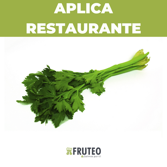 Apio fresco Fruteo, entrega a domicilio en Bogotá para restaurantes y hoteles