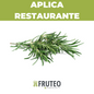 Aromáticas frescas a domicilio en Bogotá, Chía, Cajicá, Cota y Sopó – Fruteo, proveedor de frutas y verduras para tu negocio