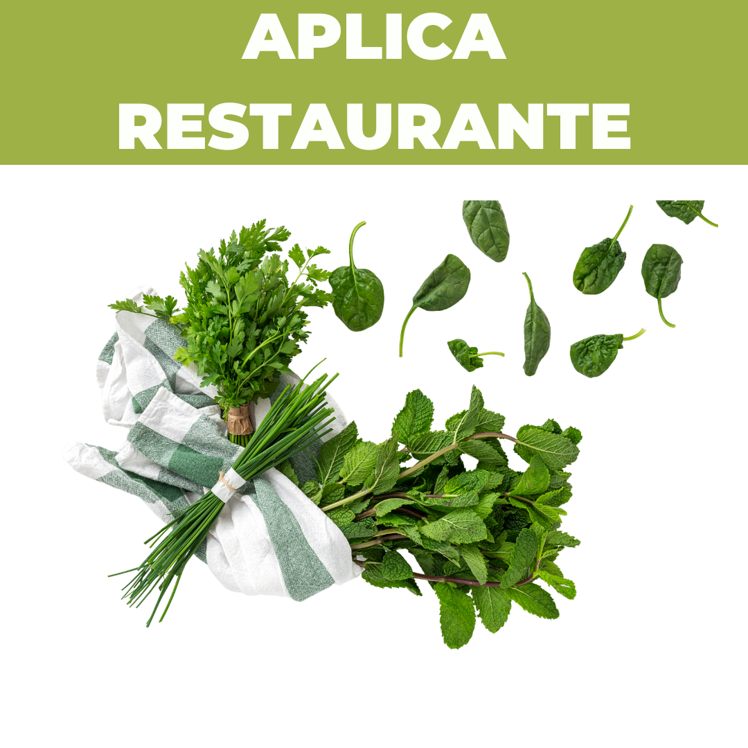 Aromáticas frescas a domicilio en Bogotá, Chía, Cajicá, Cota y Sopó – Fruteo, proveedor de frutas y verduras para tu negocio
