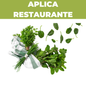 Aromáticas frescas a domicilio en Bogotá, Chía, Cajicá, Cota y Sopó – Fruteo, proveedor de frutas y verduras para tu negocio