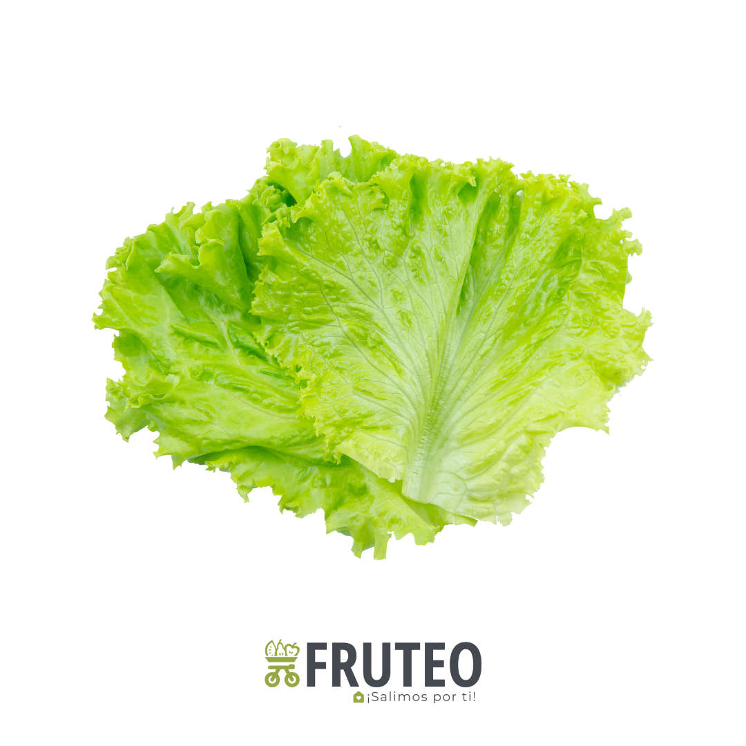 Fruteo frutas, verduras y hortalizas frescas y seleccionadas directamente del campo hasta tu casa. Somos un fruver digital con domicilios en Bogotá, Chia, Cajicá, Cota y Sopó. Directamente del campo, sin salir de casa. Paga seguro en nuestra pagina o contra entrega con dátafono.