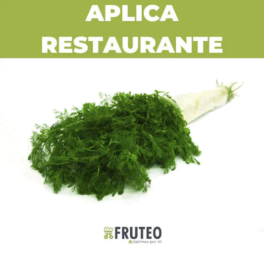 El toque fresco que tus platos necesitan: cilantro de campo, a domicilio con Fruteo