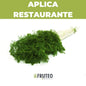 El toque fresco que tus platos necesitan: cilantro de campo, a domicilio con Fruteo