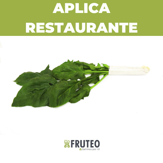 Espinaca fresca a domicilio en Bogotá, Chía, Cajicá, Cota y Sopó – Fruteo, proveedor de frutas y verduras para tu negocio