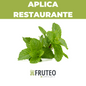Aroma y frescura para tus bebidas y platos: hierbabuena de campo, con Fruteo