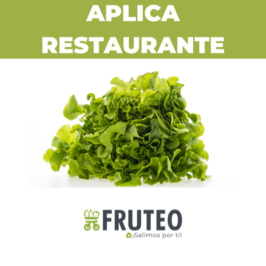 Hojas crocantes y verde intenso: lechuga crespa fresca, directo del campo con Fruteo