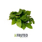 Fruteo Abastece tu negocio de frutas y verduras en Medellín, con oferta de precios competitiva. Calidad personalizada, directamente del campo y sin salir de casa. Paga contra entrega por transferencia bancaria.