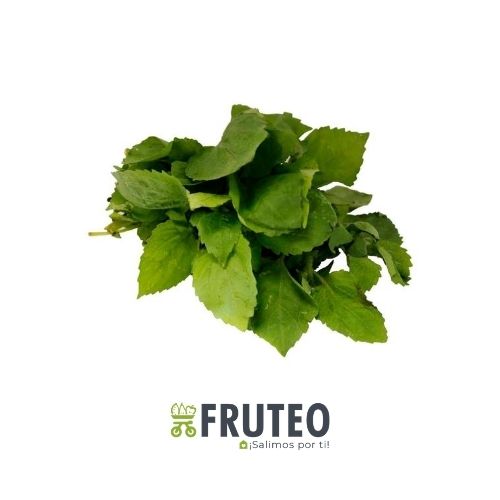 Fruteo Abastece tu negocio de frutas y verduras en Medellín, con oferta de precios competitiva. Calidad personalizada, directamente del campo y sin salir de casa. Paga contra entrega por transferencia bancaria.