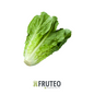 Fruteo frutas, verduras y hortalizas frescas y seleccionadas directamente del campo hasta tu casa. Somos un fruver digital con domicilios en Bogotá, Chia, Cajicá, Cota y Sopó. Directamente del campo, sin salir de casa. Paga seguro en nuestra pagina o contra entrega con dátafono.