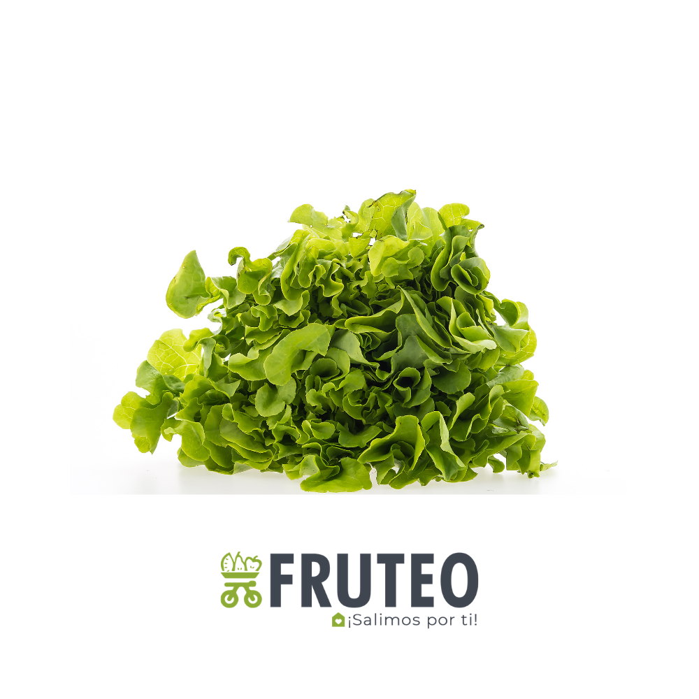 Fruteo frutas, verduras y hortalizas frescas y seleccionadas directamente del campo hasta tu casa. Somos un fruver digital con domicilios en Bogotá, Chia, Cajicá, Cota y Sopó. Directamente del campo, sin salir de casa. Paga seguro en nuestra pagina o contra entrega con dátafono.