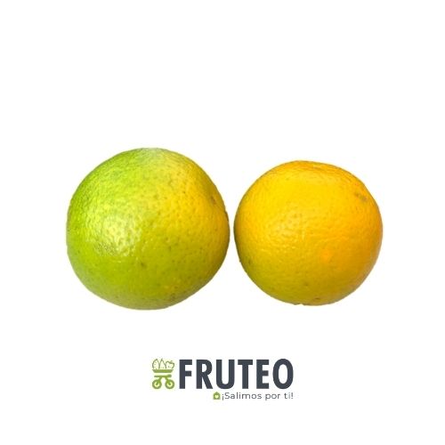 Fruteo Abastece tu negocio de frutas y verduras en Medellín, con oferta de precios competitiva. Calidad personalizada, directamente del campo y sin salir de casa. Paga contra entrega por transferencia bancaria.
