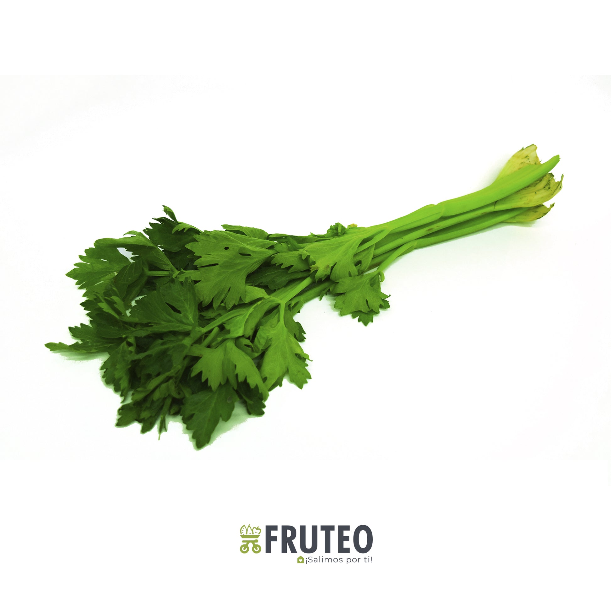 Fruteo frutas, verduras y hortalizas frescas y seleccionadas directamente del campo hasta tu casa. Somos un fruver digital con domicilios en  Chia, Cajicá, Cota y Sopó. Directamente del campo, sin salir de casa. Paga seguro en nuestra pagina o contra entrega con dátafono.