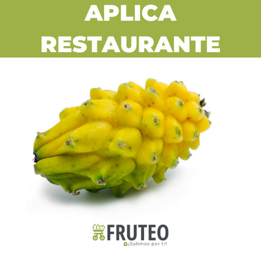 Fruteo frutas, verduras y hortalizas frescas y seleccionadas directamente del campo hasta tu casa. Somos un fruver digital con domicilios en Bogotá, Chia, Cajicá, Cota y Sopó. Directamente del campo, sin salir de casa. Paga seguro en nuestra pagina o contra entrega con dátafono. 