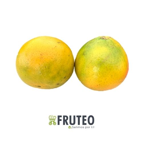 Fruteo Abastece tu negocio de frutas y verduras frescas en Bogotá, con oferta de precios competitiva. Calidad personalizada, directamente del campo y sin salir de casa. Paga contra entrega por transferencia bancaria.