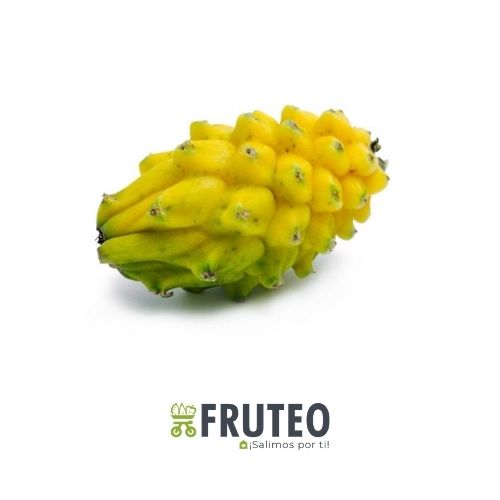 Fruteo frutas, verduras y hortalizas frescas y seleccionadas directamente del campo hasta tu casa. Somos un fruver digital con domicilios en Bogotá, Chia, Cajicá, Cota y Sopó. Directamente del campo, sin salir de casa. Paga seguro en nuestra pagina o contra entrega con dátafono.