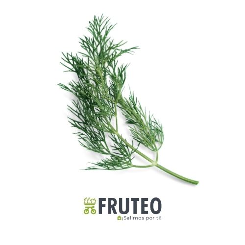 Fruteo frutas, verduras y hortalizas frescas y seleccionadas directamente del campo hasta tu casa. Somos un fruver digital con domicilios en Bogotá, Chia, Cajicá, Cota y Sopó. Directamente del campo, sin salir de casa. Paga seguro en nuestra pagina o contra entrega con dátafono.